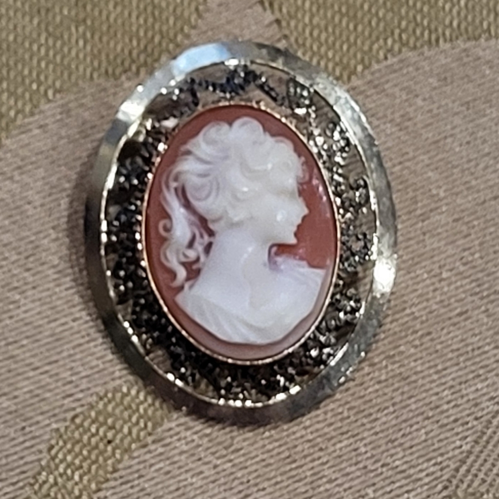 Vintage Costume Jewelry Small Cameo Brooch Pin